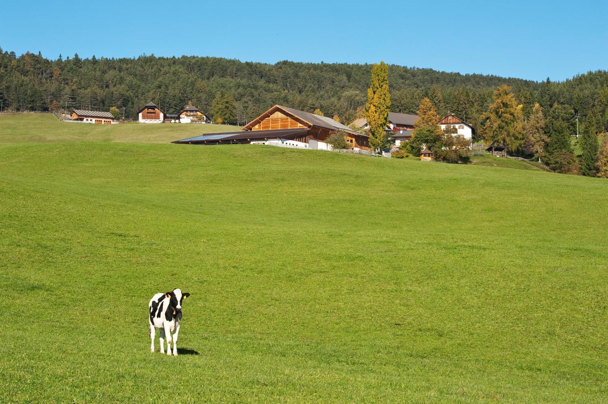 Unterpfaffstall-Hof Collalbo Exterior foto